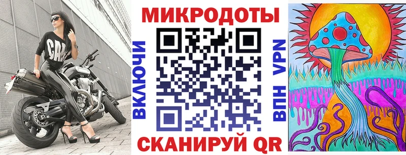 Купить  Похвистнево  Псилоцибиновые грибы Psilocybe 