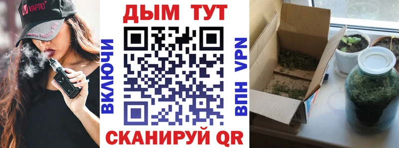 Конопля Amnesia  Купить закладки  Похвистнево 